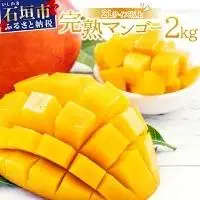 2L～3L マンゴー3～6玉（約2kg） KP-25