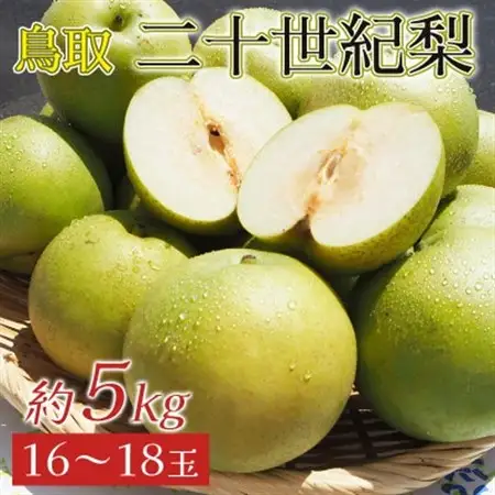 2026年8月下旬から9月上旬発送予定/二十世紀梨【青梨】5kgセット　ふるさと鳥取の自慢の梨です!【1627103】