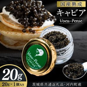 【茨城県共通返礼品・河内町産】国産熟成キャビアVoeu-Pense (20g×１瓶）【トキタ 珍味 コラーゲン DHA・EPA 国産 熟成 お土産 贈り物】（KED-01)