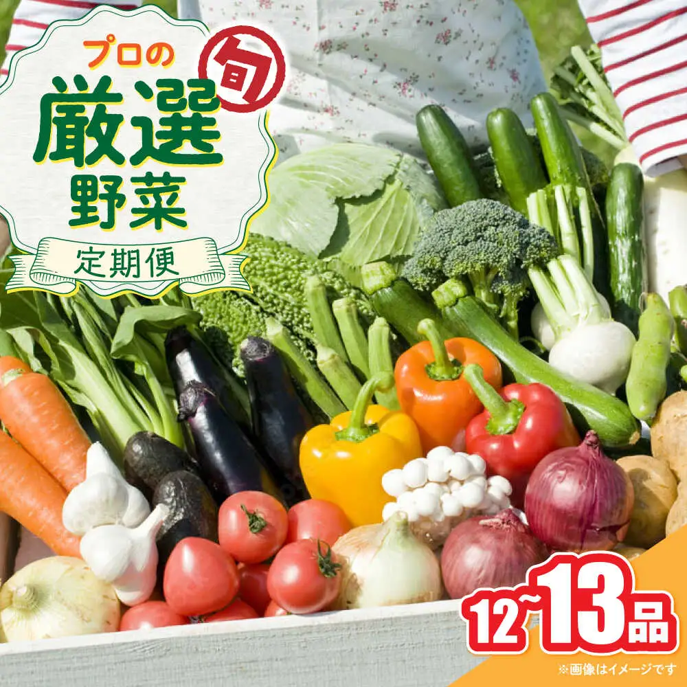 野菜のプロが選ぶ 旬の野菜セット 12?13品目 野菜定期便 / 野菜 やさい セット 新鮮 / 南島原市 / 愛2農園[SGG005]
