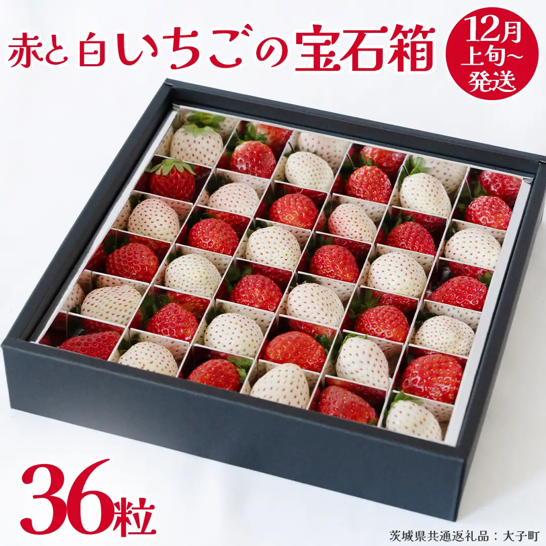 赤いちご と 白いちご の宝石箱36粒【2026年12月上旬発送開始】(茨城県共通返礼品：大子町) いちご 苺 果物 フルーツ 果実