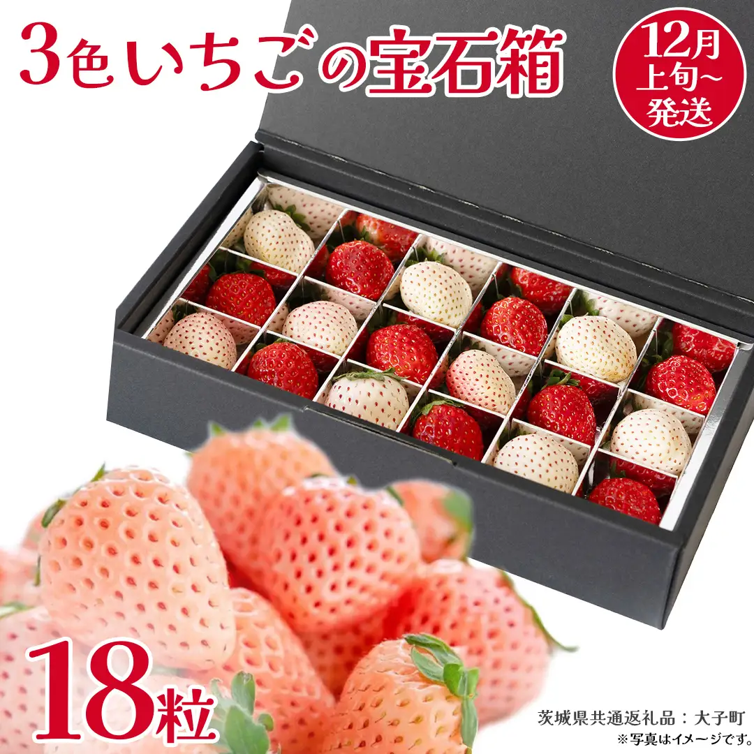 3色いちご の宝石箱18粒【2026年12月上旬発送開始】(茨城県共通返礼品：大子町) いちご 苺 果物 フルーツ 果実