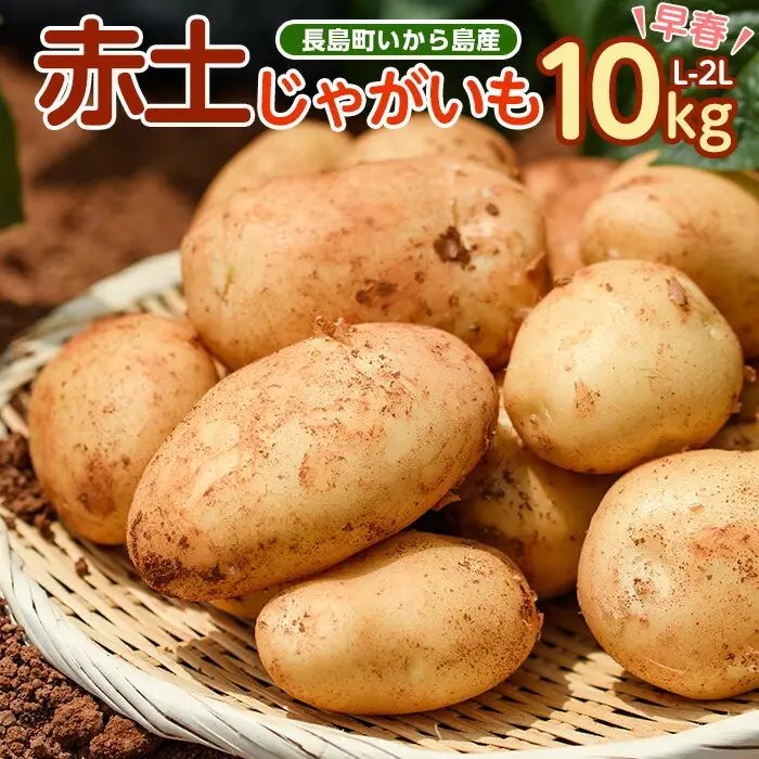 先行受付!!《早春》長島町いから島産赤土じゃがいも 10kg【高橋農園】takahashi-7310R8