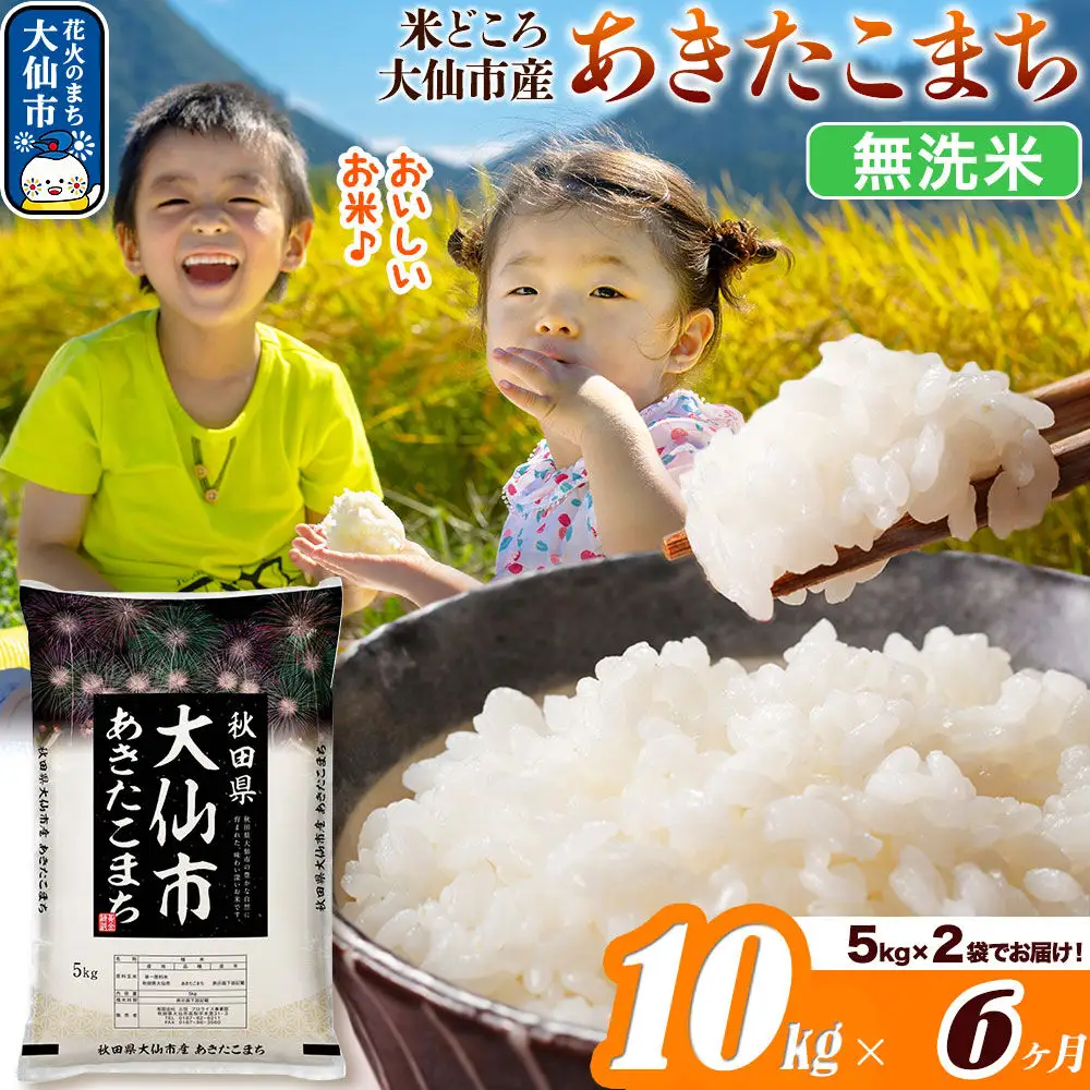 米《定期便6ヶ月》あきたこまち【無洗米】米どころ秋田県大仙市産 あきたこまち 10kg（5kg×2袋）