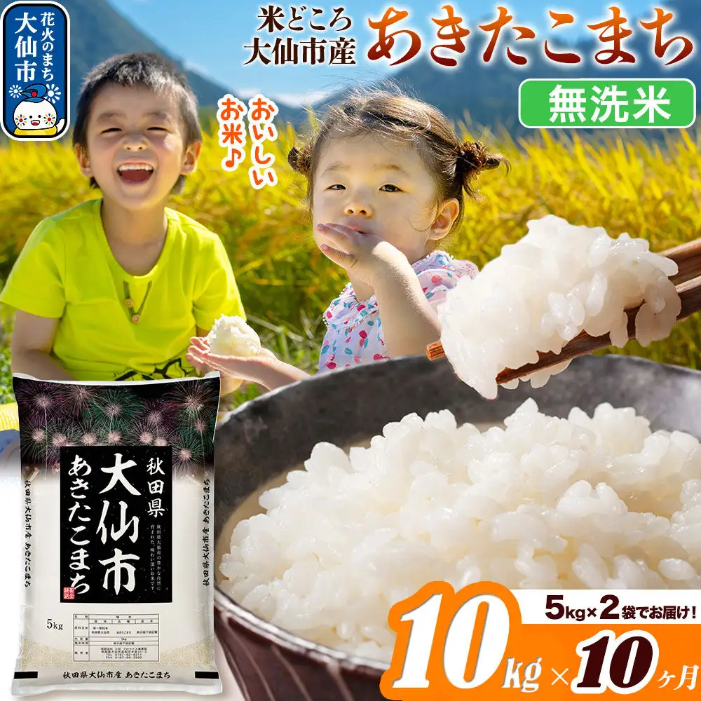 米《定期便10ヶ月》あきたこまち【無洗米】米どころ秋田県大仙市産 あきたこまち 10kg（5kg×2袋）