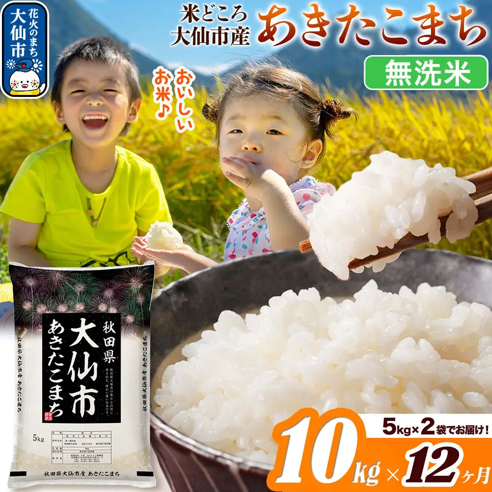 米《定期便12ヶ月》あきたこまち【無洗米】米どころ秋田県大仙市産 あきたこまち 10kg（5kg×2袋）