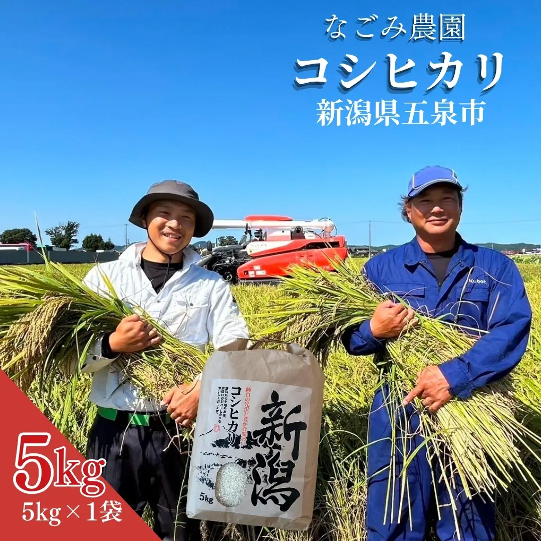 【令和8年産】コシヒカリ 5kg なごみ農園 新潟｜コシヒカリ こしひかり