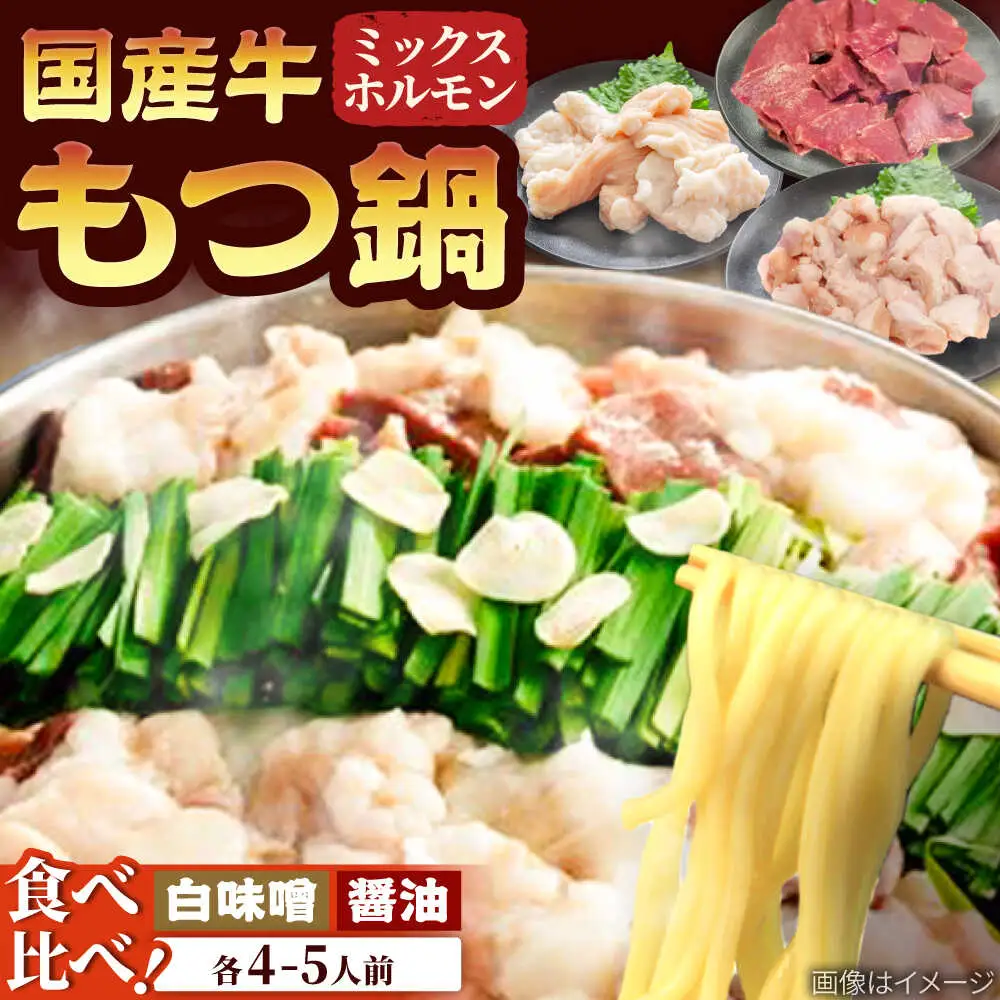 「上田商店」工場直販 もつ鍋(醤油・白味噌/各4-5人前)[BGAD058]