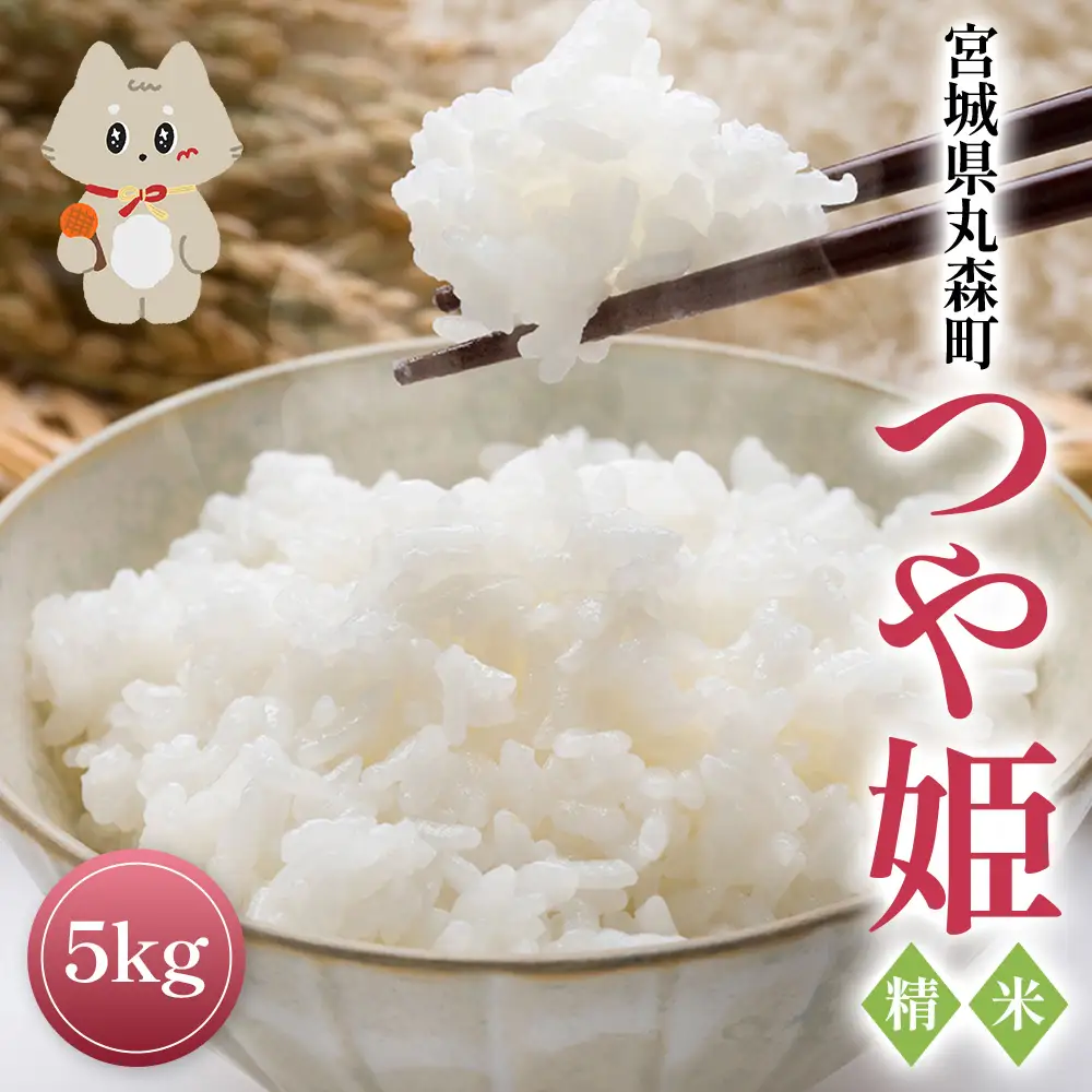 令和7年産 宮城県丸森町 つや姫 精米 ５ｋｇ【5400101】