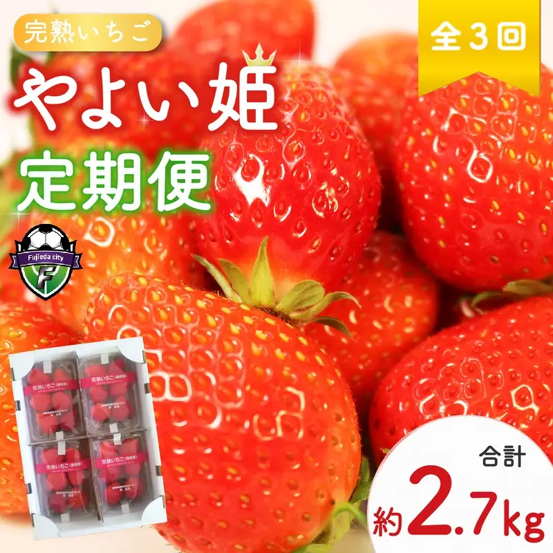 いちご 全3回定期便 いちご やよい姫 計約2.7kg