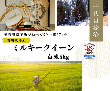 米 ミルキークイーン 白米 5kg 縁起の竜王米 （令和7年産）