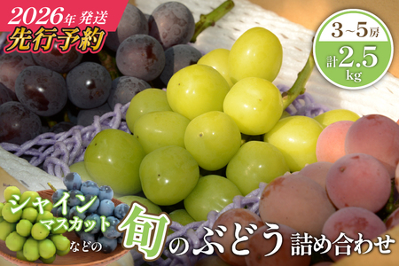 【先行予約/2026年発送】シャインマスカット等の旬のぶどう詰め合わせ 2.5kg（シャインマスカット ぶどう ブドウ 果物 セット 詰め合わせ フルーツ 2026 贈答用 限定）