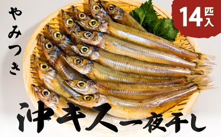 ふっくら柔らかい沖キスの一夜干し 14匹入 日本海 沖キス キス 一夜干し 干物 魚 ひもの おつまみ 日本酒 肴 珍味 ご飯のお供 魚貝類  myz02 myz11 myz17