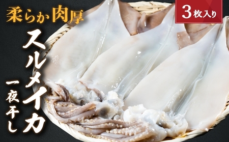干物 スルメイカ いか 一夜干し 特大 3枚 干物