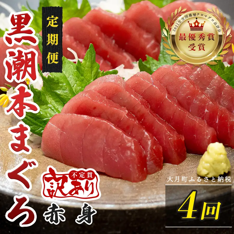 訳あり 不定貫 定期便 4回 高知県産 本マグロ 赤身 養殖 120g (PT0080_0459)