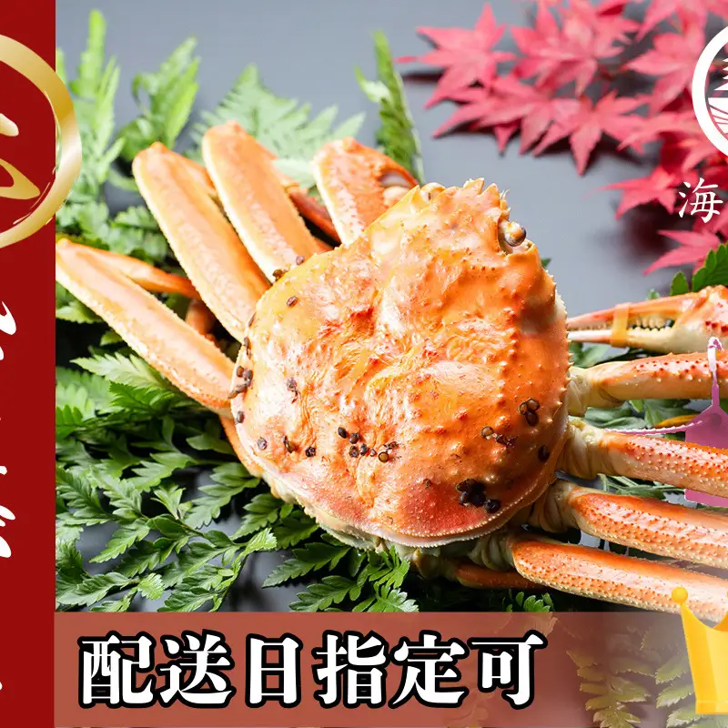 【配送日指定可】【11月中旬～2026年3月末頃発送】茹で松葉蟹 1杯 特上 蟹 カニ かに 松葉蟹 松葉ガニ 茹で松葉蟹