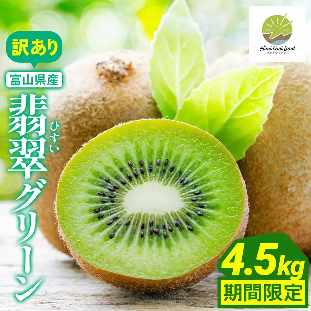 訳あり翡翠グリーン4.5kg（小玉、擦り傷、日焼け） 数量限定 希少 国産 甘い 氷見キウイランド 富山県 氷見市
