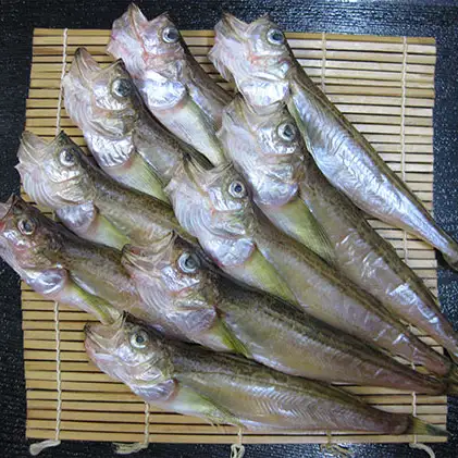 ハタハタ（特々大）干物 一夜干し 450g ×2箱【配送不可：離島】 魚貝類 海鮮 干物 おつまみ 肴 ハタハタ 酒  myz02 myz11 myz17