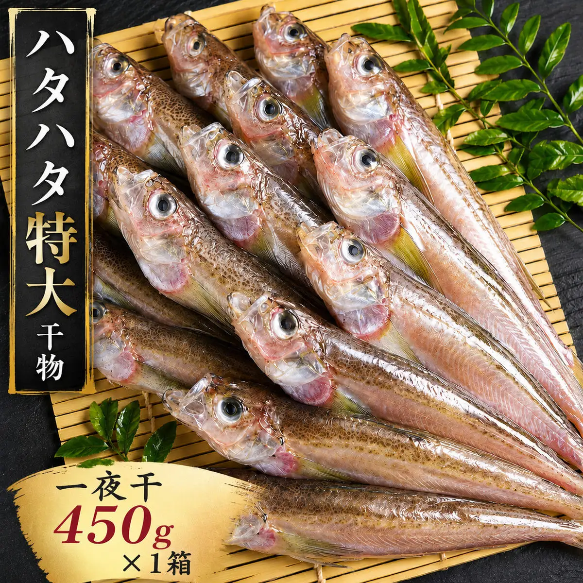 ハタハタ 特大 450g 1箱 干物 一夜干し × 海鮮 干物 ハタハタ