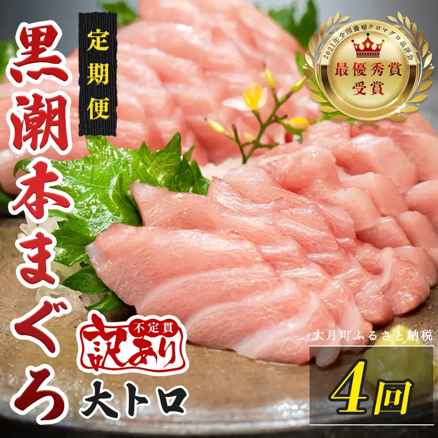 訳あり 不定貫 定期便 4回 高知県産 本マグロ 大トロ 養殖 120g (PT0080_0465)