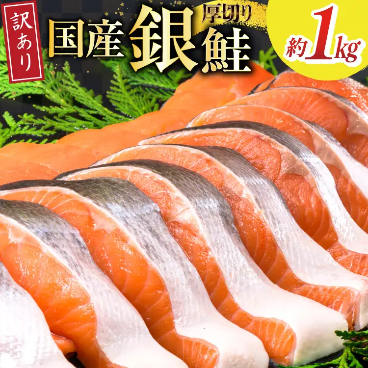 訳あり 国産 減塩 厚切り 塩銀鮭 切身 計 1kg 