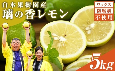 【先行予約】璃の香レモン 約5kg（12〜25個） 高知県土佐市 【株式会社SHIRAKI】 [BQAI026]