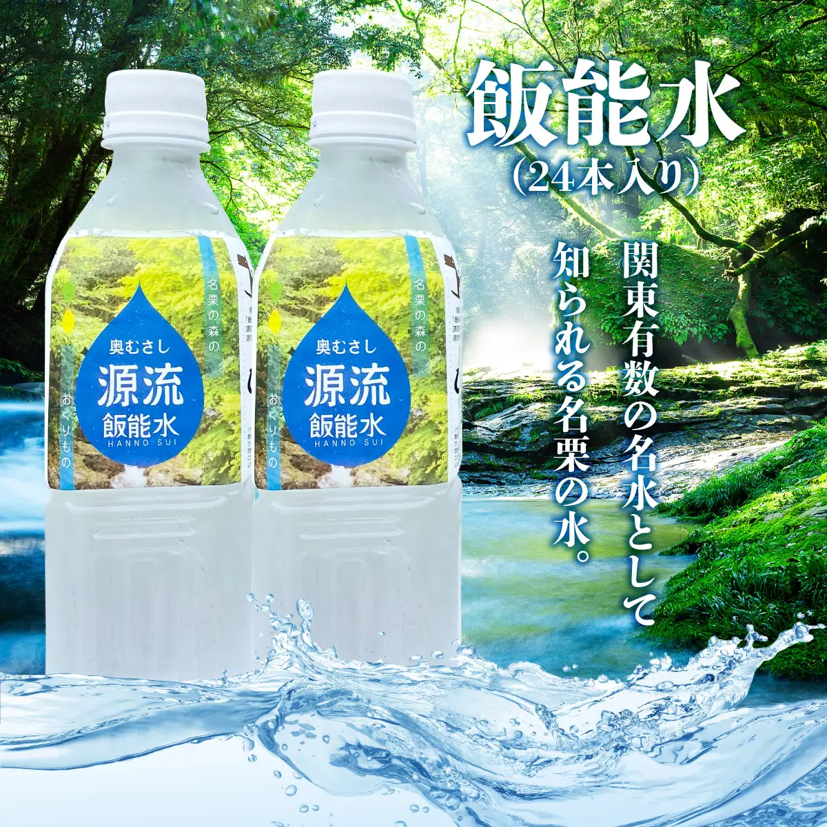 飯能水(24本入り) 飲料類 ミネラルウォーター 飲料 HNNAK001
