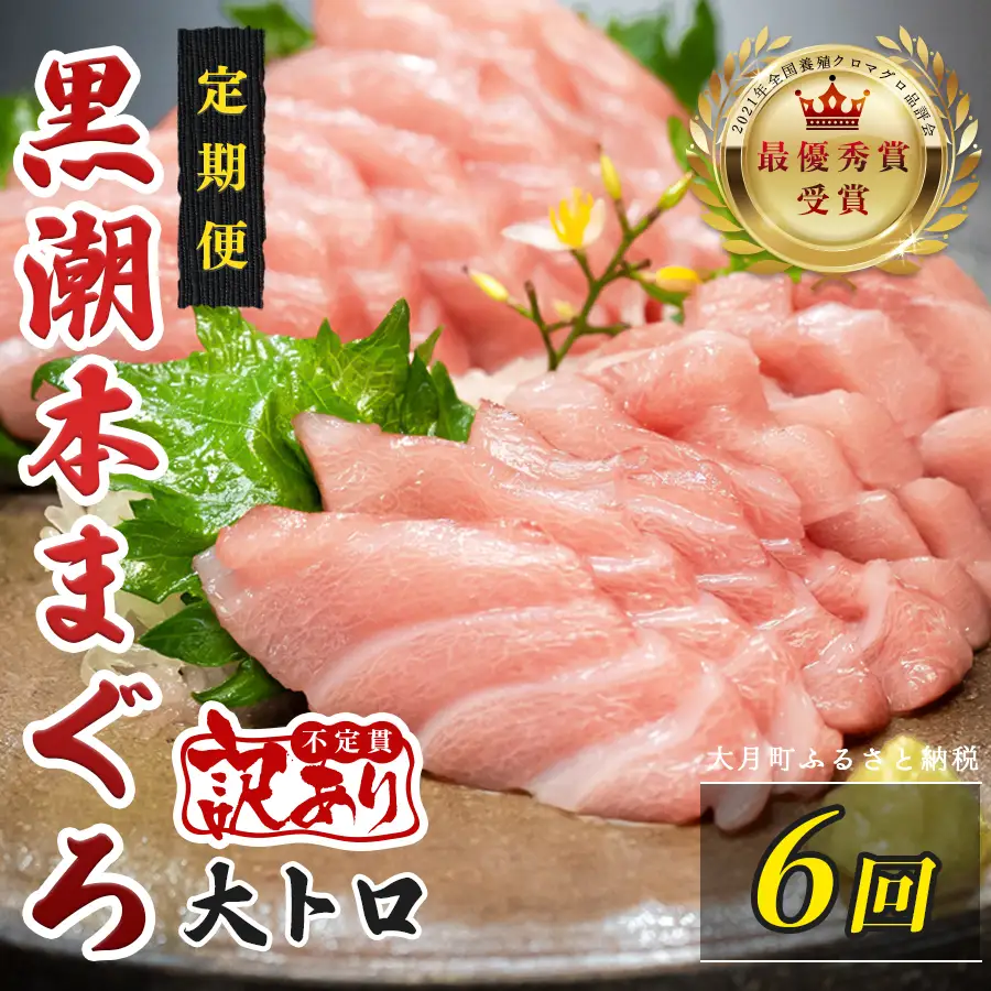 訳あり 不定貫 定期便 6回 高知県産 本マグロ 大トロ 養殖 120g (PT0080_0466)