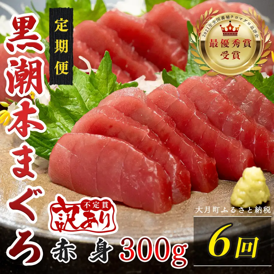 訳あり 不定貫 定期便 6回 高知県産 本マグロ 赤身 養殖 300g (PT0080_0469)