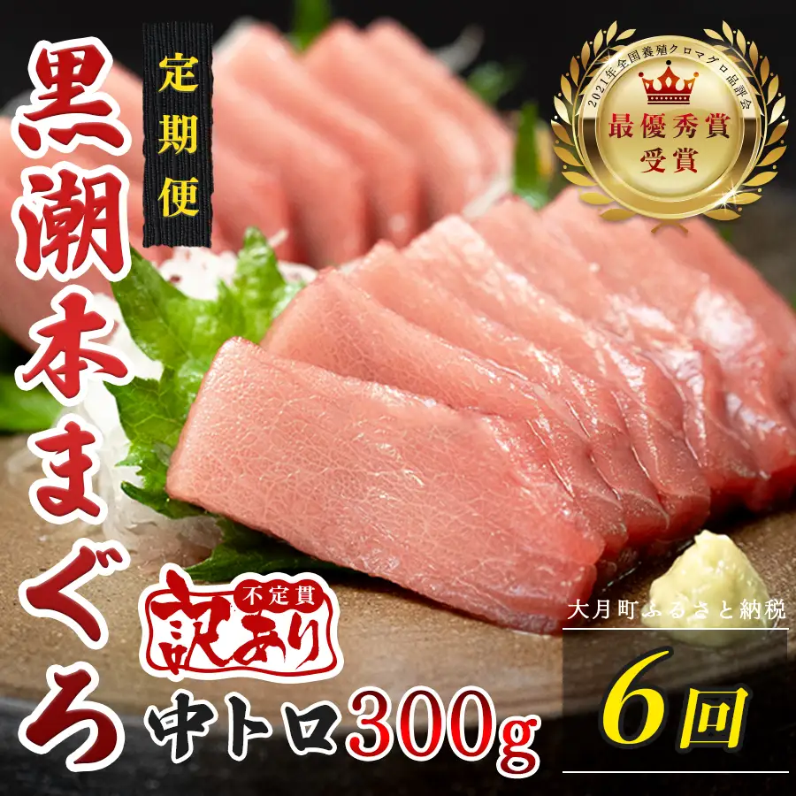訳あり 不定貫 定期便 6回 高知県産 本マグロ 中トロ 養殖 300g (PT0080_0472)