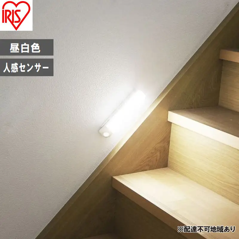 乾電池式LEDセンサーライト ウォールタイプ BSL40WN-WV2