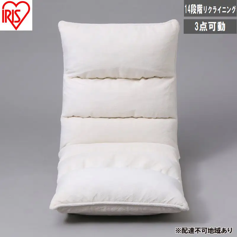 イス フロアチェア 低反発 ZCR-2 アイボリー 座椅子