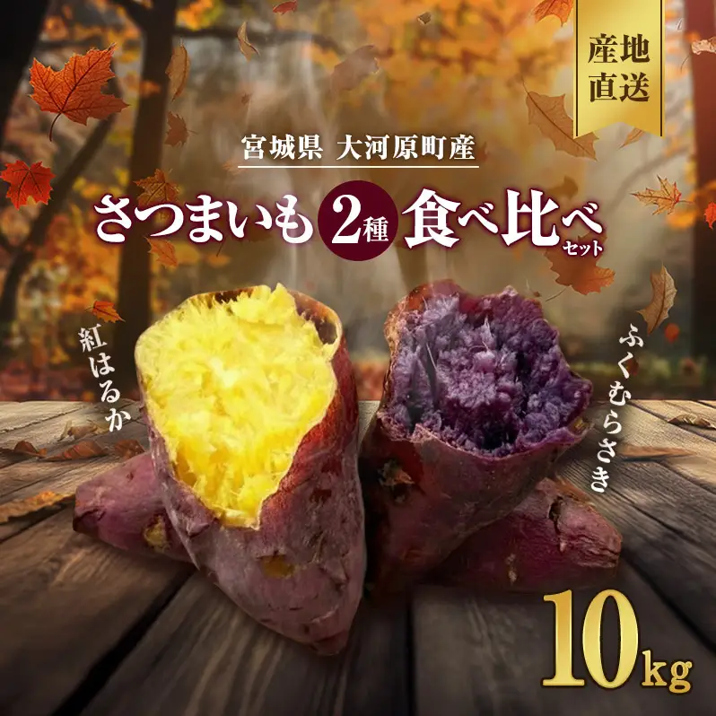 さつまいも 約10kg 2種詰合せ 紅はるか ふくむらさき サツマイモ