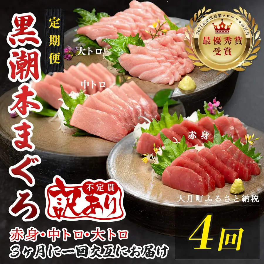 訳あり 不定貫 定期便 4回 高知県産 本マグロ 大トロ・中トロ・赤身 月替わり (PT0080_0477)