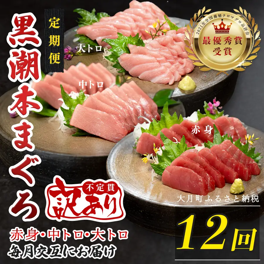 訳あり 不定貫 定期便 12回 高知県産 本マグロ 大トロ・中トロ・赤身 月替わり (PT0080_0479)