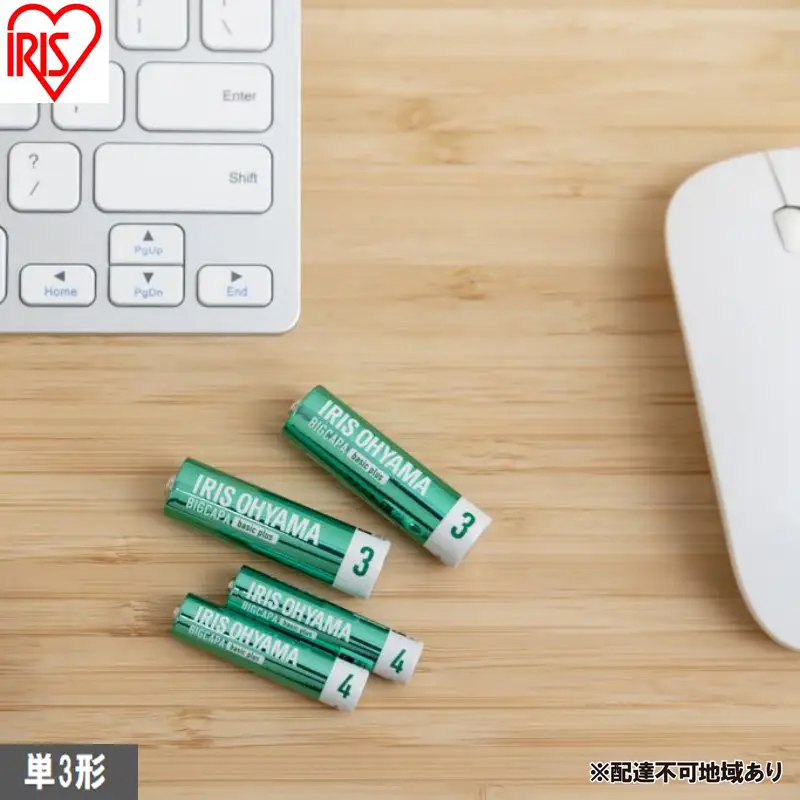 乾電池 BIGCAPA basic plus アルカリ乾電池 単3形4本パック