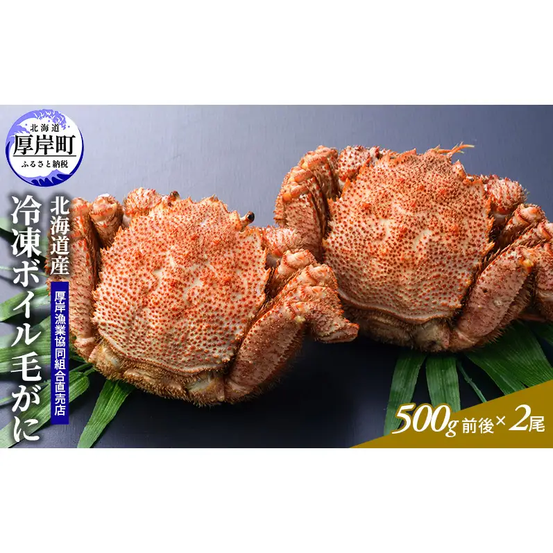 訳あり 3D冷凍 ボイル 毛がに 500g前後×2尾 毛蟹 毛ガニ