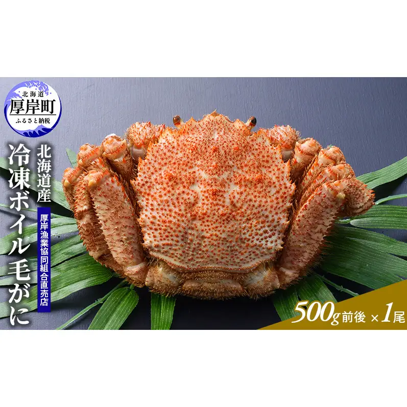 訳あり 3D冷凍 ボイル毛がに 500g前後×1尾 北海道産 毛蟹 毛ガニ