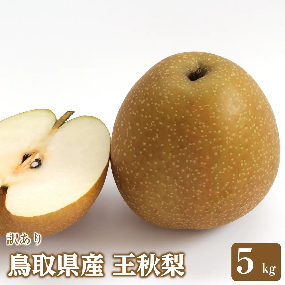 訳あり 鳥取県産 王秋 梨 5kg