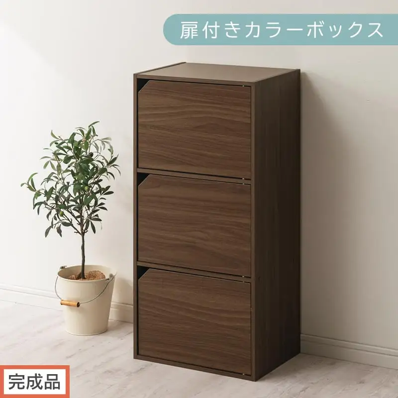 【完成品でお届け】扉付きカラーボックス〔3段〕（ウォールナット）カラーボックス 扉付き 3段 木製 収納棚 扉付き本棚 リビング キッチン 寝室 雑貨 小物 収納 収納ボックス 隙間収納 ラック AKANBR920131-0-WAL
