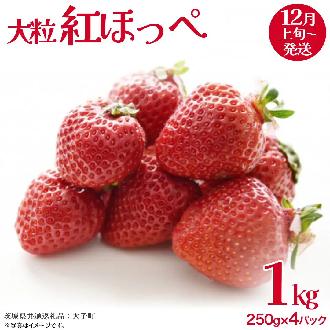 紅ほっぺ 大粒 250g（8～12粒）×4パック【2026年12月上旬発送開始】(茨城県共通返礼品：大子町) いちご 苺 果物 フルーツ 果実