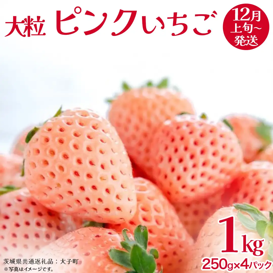 ピンクいちご 大粒 250g（8～12粒）×4パック【2026年12月上旬発送開始】(茨城県共通返礼品：大子町) いちご 苺 果物 フルーツ 果実