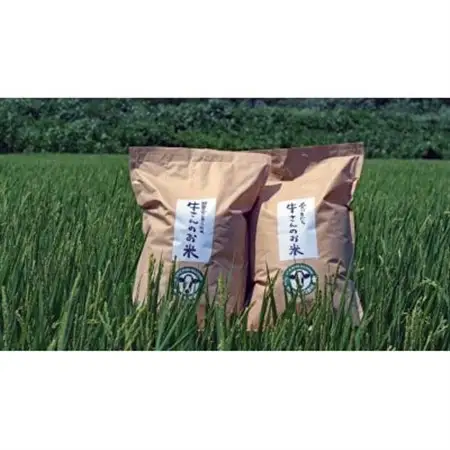 【新米】令和8年産「牛さんのお米」はるみ新米　10kg(5kg×2袋)【1350013】