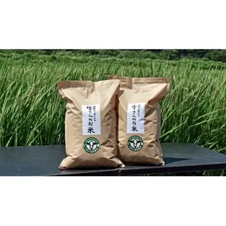 【新米】令和8年産「牛さんのお米」はるみ　6kg(3kg×2袋)【1350016】