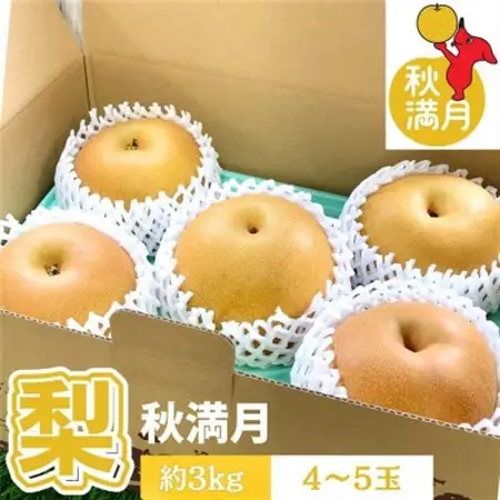 【千葉県横芝光町産】2021年デビューの新品種『秋満月』約3kg(4～5個) 満月のような大玉の梨【1673016】