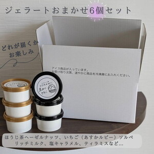 橿原　手作りジェラート6個セット