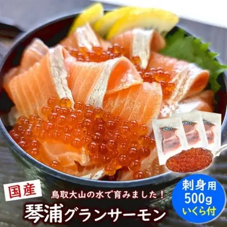 薬剤未使用で安心　国産とっとり琴浦グランサーモン刺身用500g いくら付 訳あり 小分け個包装で便利【配送不可地域：離島】【1641834】