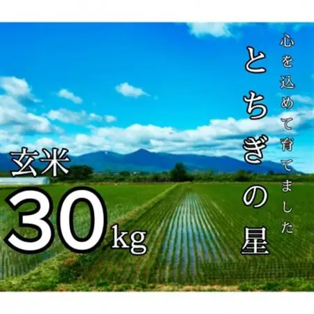 数量限定!令和7年産 とちぎの星 玄米 30kg【1628168】
