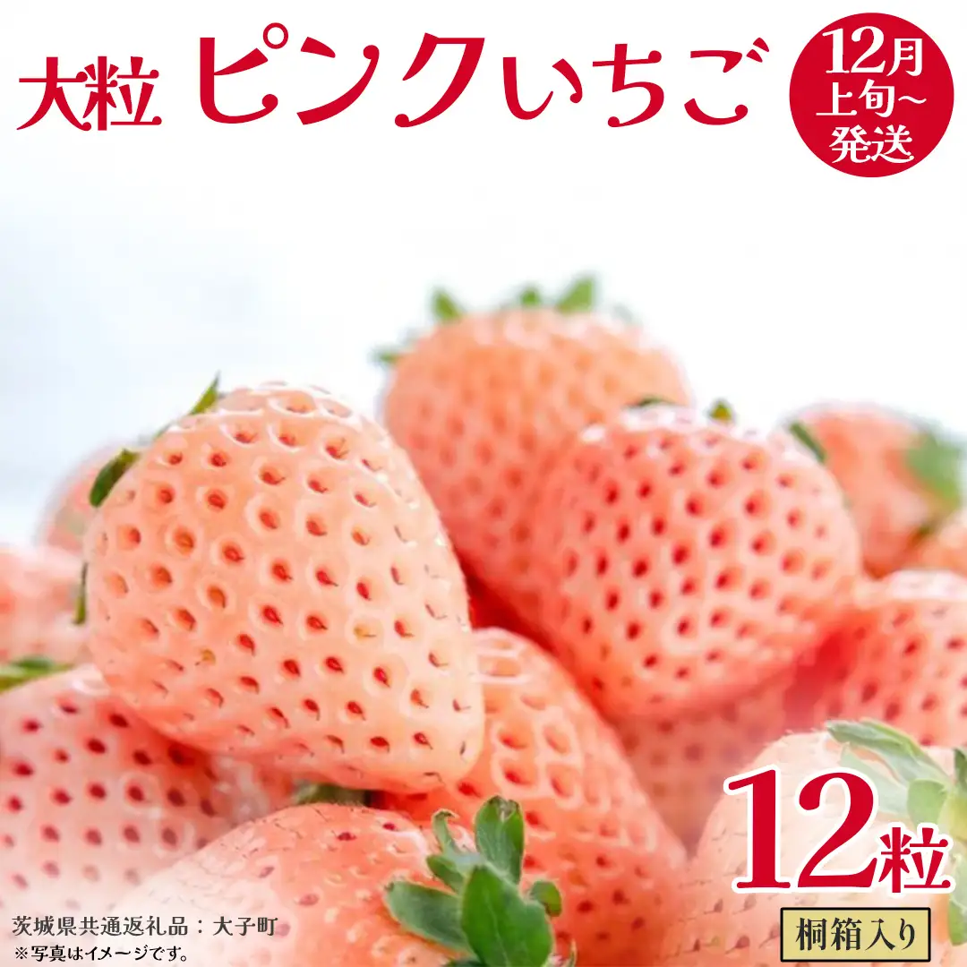 桐箱入り 大粒 ピンクいちご 12粒【2026年12月上旬発送開始】(茨城県共通返礼品：大子町) いちご 苺 果物 フルーツ 果実