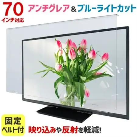 大阪府和泉市　70AG2　70インチ用　テレビ画面保護パネル　アンチグレアタイプ　テレビガード【1669355】 57,750円